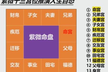 探密女命富贵命宫：打造人生的幸福蓝图