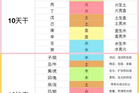 天干地支的独特魅力：揭秘命理背后的秘密与智慧