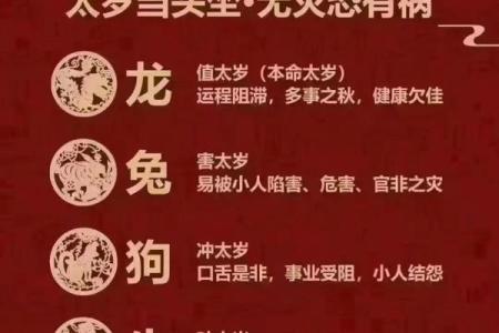 深入解读：哪些生肖属于饿木命及其特点与运势