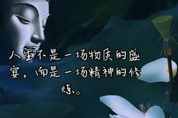 探索“命king”音的深意：生命与命运的交响曲