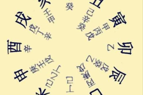 探索1966年酉时出生的命理之谜