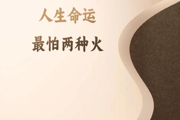 了解今天出生女孩的命运与性格特点，助你开启人生新篇章！