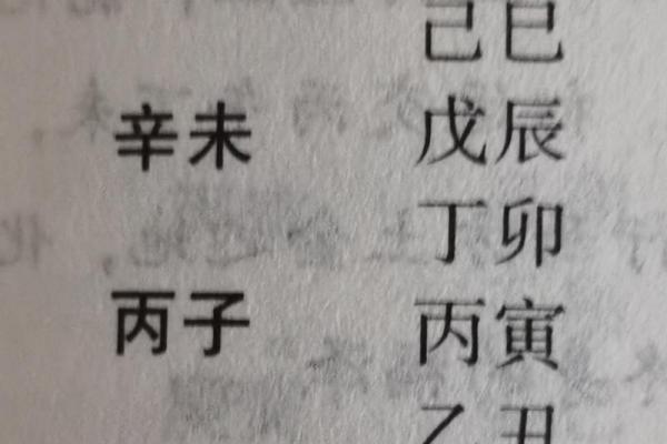 己巳之命：探寻这个命格的独特魅力与人生轨迹