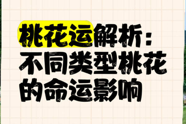 命里没有桃花，缘分何在？探寻命理与爱情的秘境