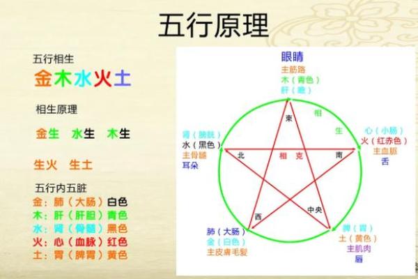 命理入门：从基础到精深，掌握命理的学习路径