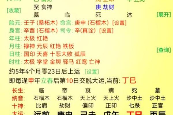 2021年属什么命格？探索数字背后的命理奥秘与人生启示