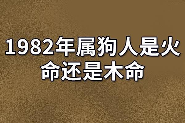 狗年大吉：探寻属狗人的命格与运势之道