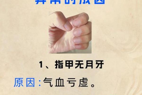 探秘指甲与手指的和谐之命运：细看指尖背后的玄机