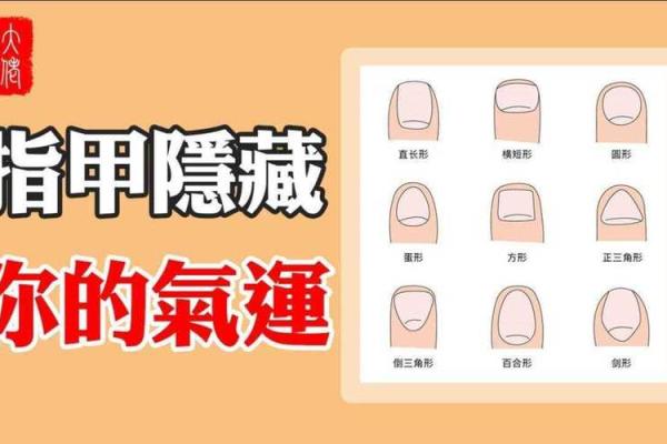 探秘指甲与手指的和谐之命运：细看指尖背后的玄机