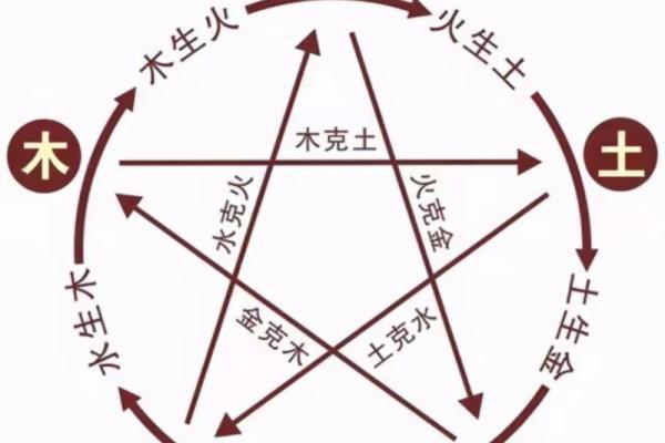 探索1985年命卦的神秘力量与人生影响
