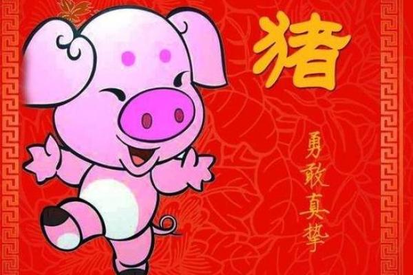 属猪男人命理解析：何种命格最为吉祥与适合？