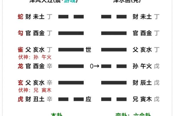 23岁属大龙的命格解析：福泽与机遇的交织之路