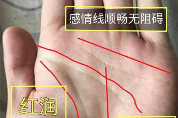 23岁属大龙的命格解析：福泽与机遇的交织之路