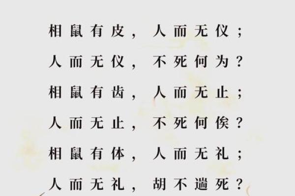 十三的老鼠：如何理解它的命运与象征意义