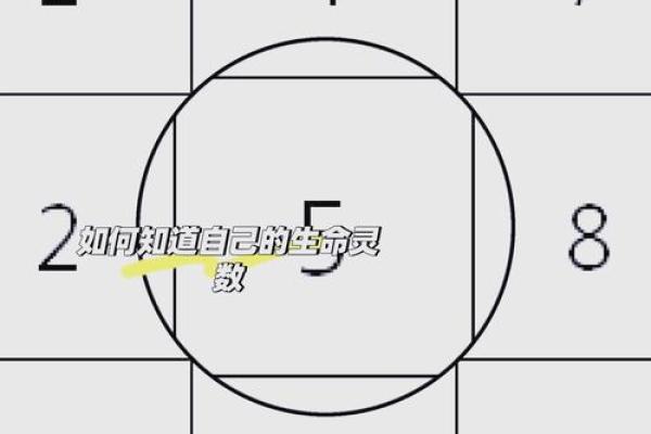 深入研究命理与数字搭配的奥秘，揭开运势密码！