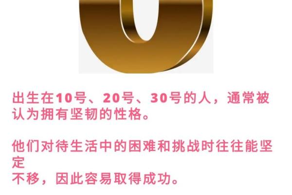 木兔命的命理解析：适合你的幸运数字与生活智慧