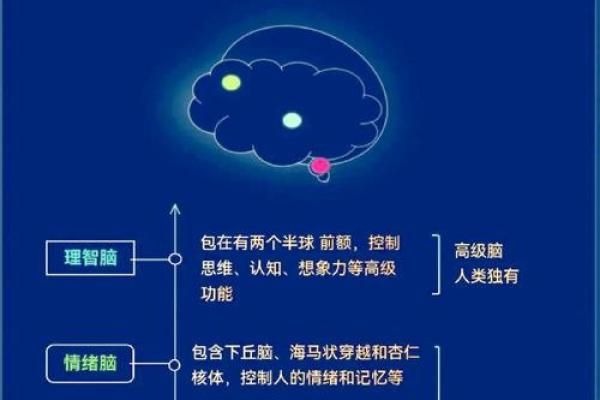 穷单身的命运：寻觅与自我重塑的故事