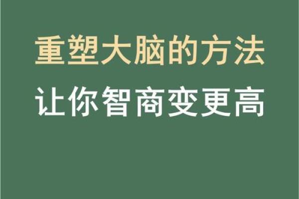 穷单身的命运：寻觅与自我重塑的故事