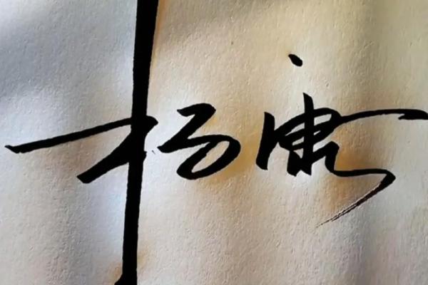 水命之人适合签名的艺术与选择