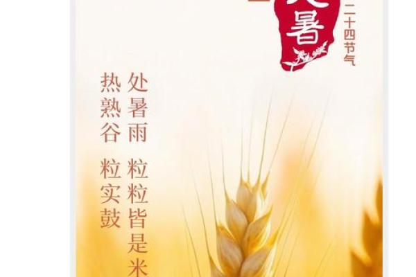 金命处暑转运：忌讳与破解之道，助你迎接好运！
