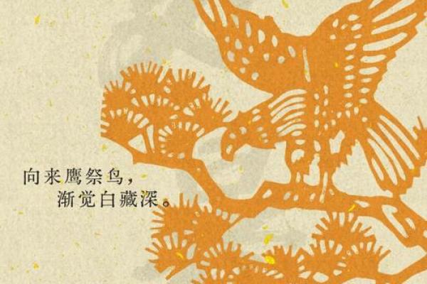 金命处暑转运：忌讳与破解之道，助你迎接好运！