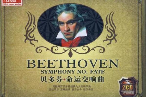 2004年出生的猴子命运揭秘：智慧与机遇的交响曲