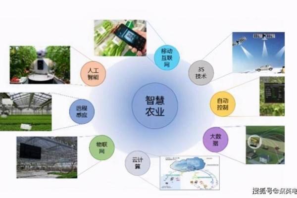 探索《九命纪要》：古代智慧的现代解读与应用
