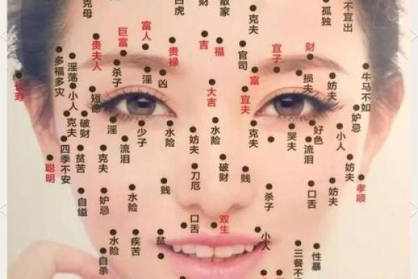 女孩耳朵小的命运与性格解析，揭示耳朵小的秘密！