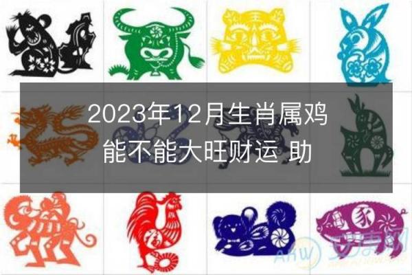 揭秘2017年属鸡男孩的命运与性格特点