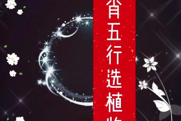 石榴木命的护佑：如何选择合适的佩戴物件提升运势