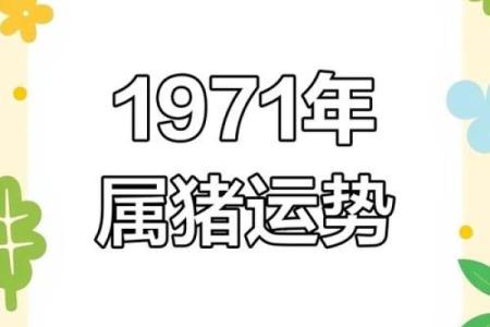 61岁属猪者的命运解析：探寻人生的智慧与机遇
