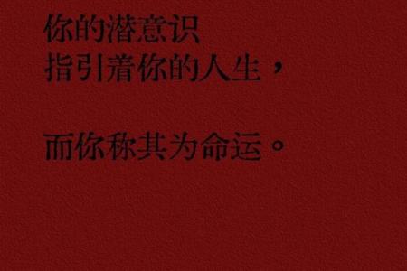 探索“命king”音的深意：生命与命运的交响曲