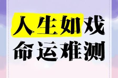 从2005910看人生：揭示你的命运与运势之谜
