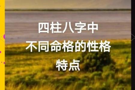 命格与心肠：探讨在不同命格下人的算计与真诚