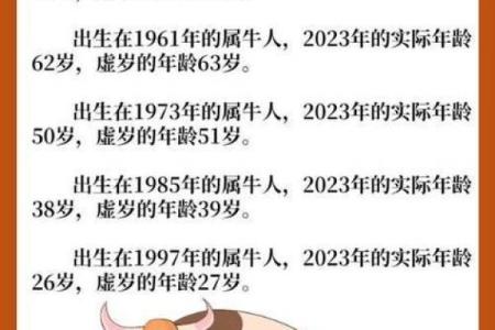 属牛人的命格与火的关系：燃烧的力量与坚韧的精神