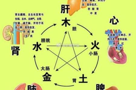 如何通过五行八字解析人的命运与性格特征