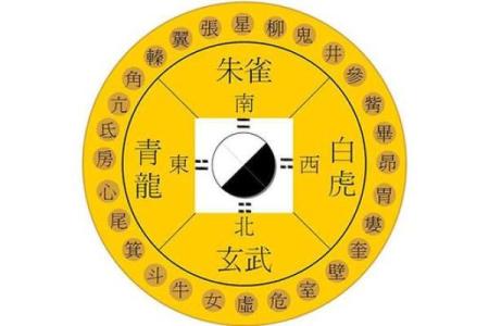 土命女子的理想方位与生活风水指南