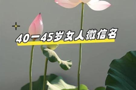 探秘太初命格女人的魅力与智慧，了解其独特人生之路