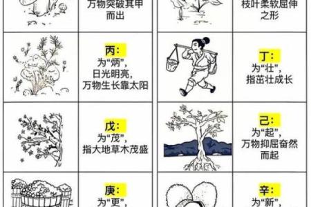 水蛇命之人：命名的艺术与选择，探析水蛇命人的姓名理念与吉祥字眼
