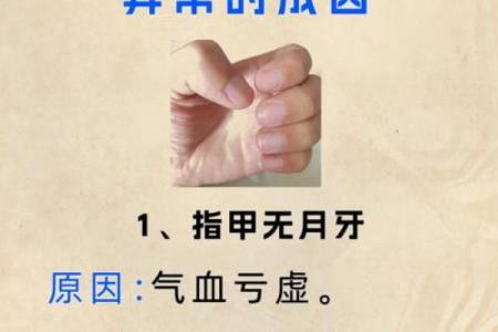 探秘指甲与手指的和谐之命运：细看指尖背后的玄机