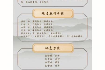 属鸡人金命忌讳分析：探寻命理背后的秘密与人生智慧