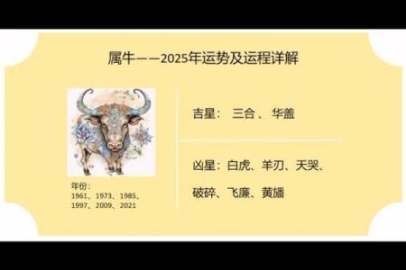 牛年女娃名字解析：解析属牛之命，幸福与机遇的璀璨人生