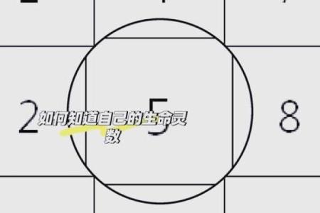 深入研究命理与数字搭配的奥秘，揭开运势密码！