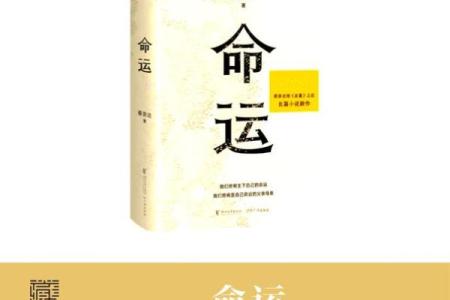 探讨童子命的好处与人生影响，轻松解读你的命运之路