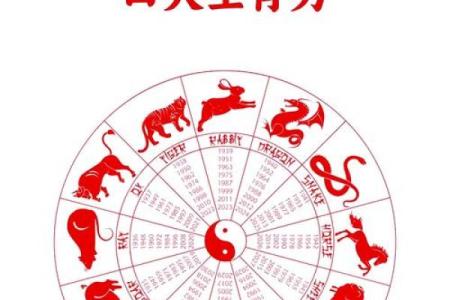 探索铜命与生肖的奥秘：揭开命理背后的神秘面纱