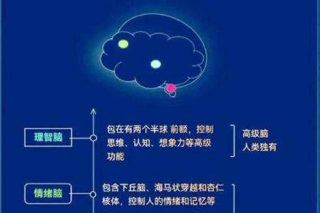 穷单身的命运：寻觅与自我重塑的故事