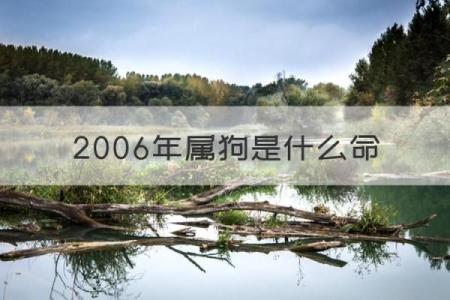 37岁属狗人的命运解析：人生转折与机遇并存