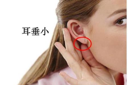 女孩耳朵小的命运与性格解析，揭示耳朵小的秘密！