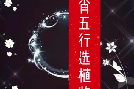 石榴木命的护佑：如何选择合适的佩戴物件提升运势