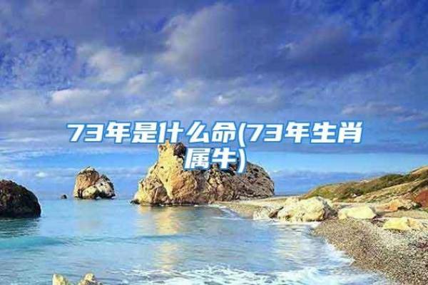 1949年牛年出生的命运与运势解析